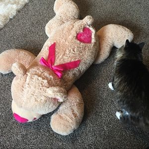 Big Oversized Teddy Bear